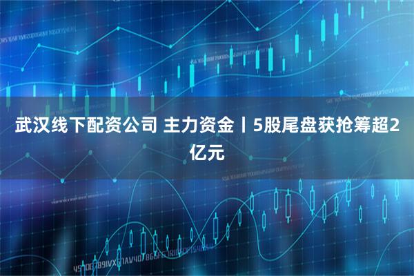 武汉线下配资公司 主力资金丨5股尾盘获抢筹超2亿元