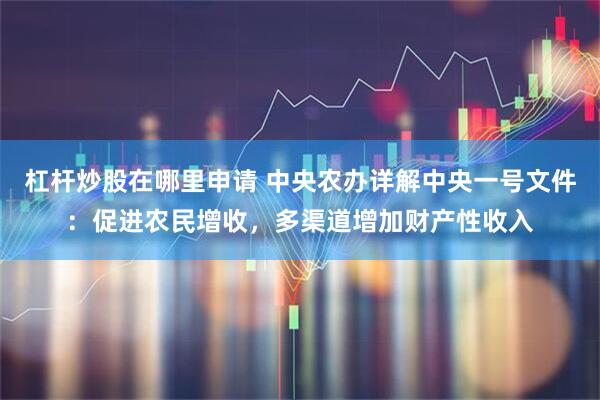 杠杆炒股在哪里申请 中央农办详解中央一号文件：促进农民增收，多渠道增加财产性收入