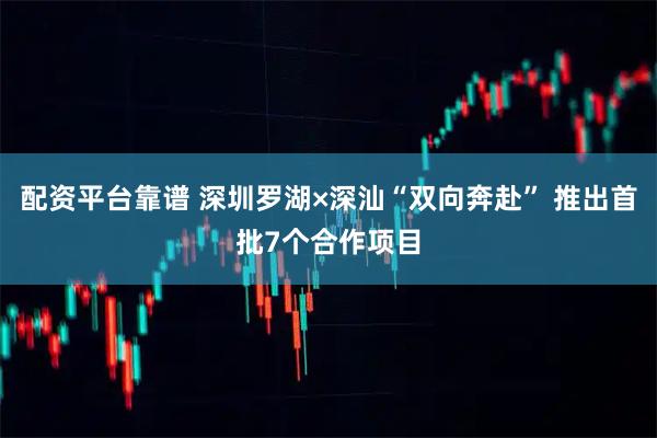 配资平台靠谱 深圳罗湖×深汕“双向奔赴” 推出首批7个合作项目